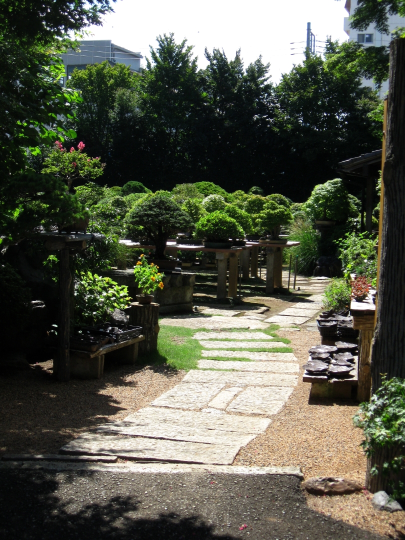 Bonsai-cho (Fuyo-en-Baumschule)
