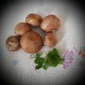 braune Champignons