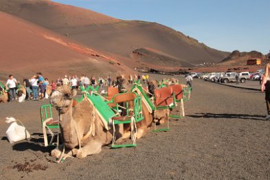 noch einmal die Karawanen...  ...warten auf Touristen