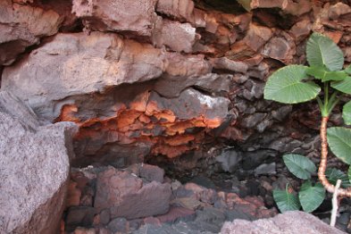 Jameos de los Verdes