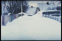 IMG0029