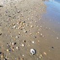 La Plage